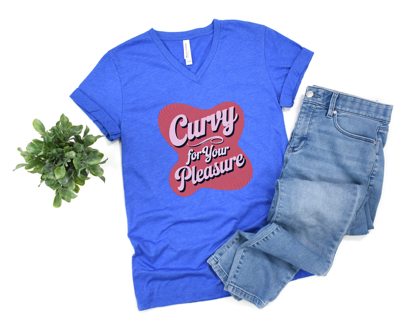 Curvy For Your Pleasure V-Neck Shirt