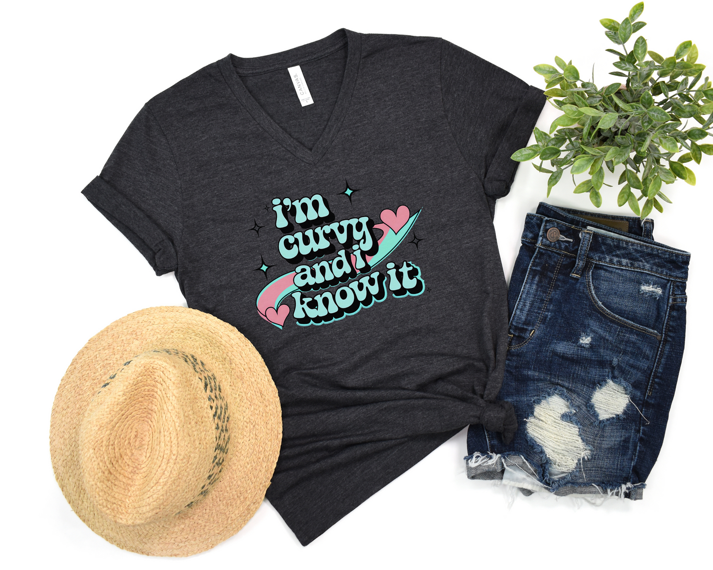 I'm Curvy And I Know It V-Neck Shirt